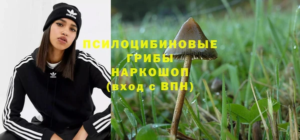 a pvp Кодинск