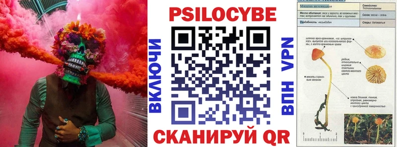 Купить закладки  Вичуга  Псилоцибиновые грибы Magic Shrooms 